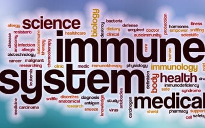 Your Immune System Explained + Non-Boring Ways to Boost It!